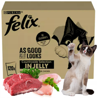 Felix Cat Mokré krmivo Hovädzie kura 120 x 85 g